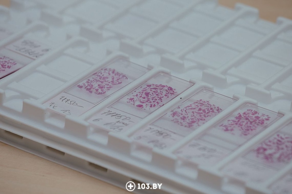 Pat5.png Pat5.png